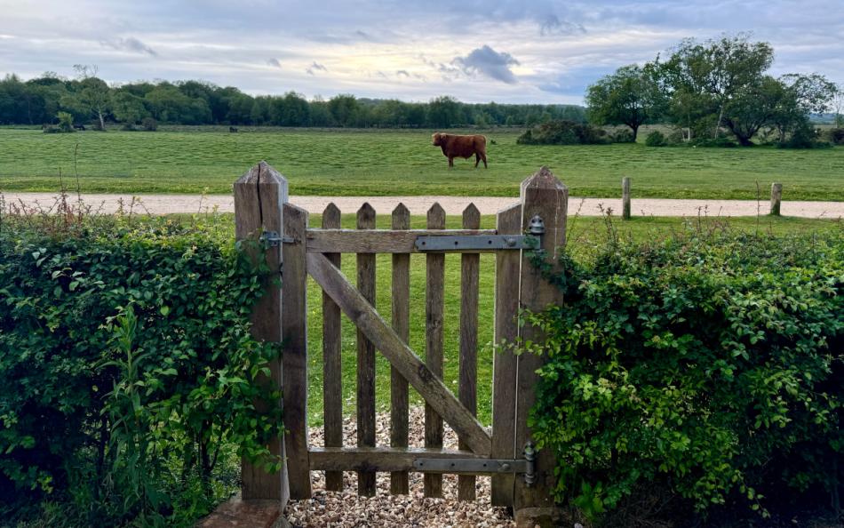 gateway to the New Forest at Ivy Cottage