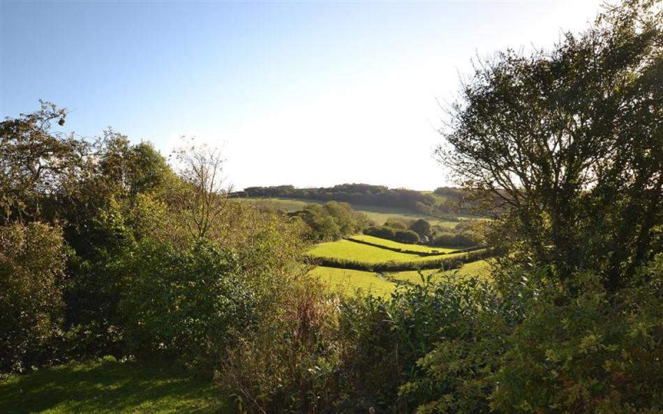 The view from the patio at Coombe Park