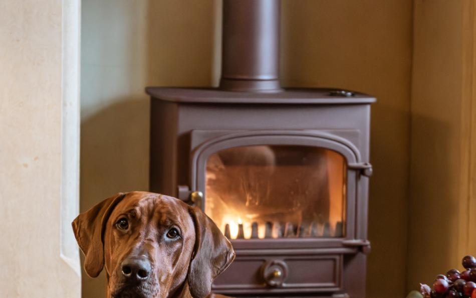 cosy fire at Brookside Lodge 