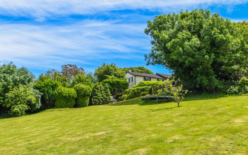 Garden at Orchard View 