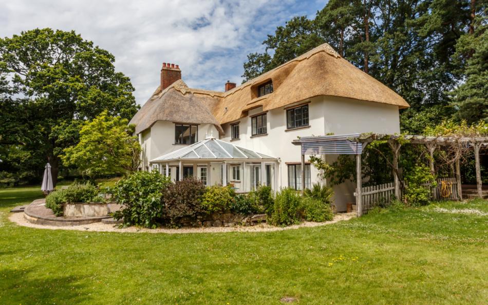 the grounds at Thatchby Oak