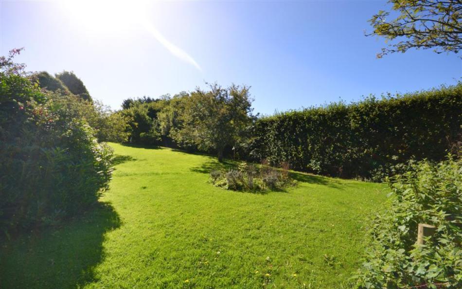 Apple Barn lawn 