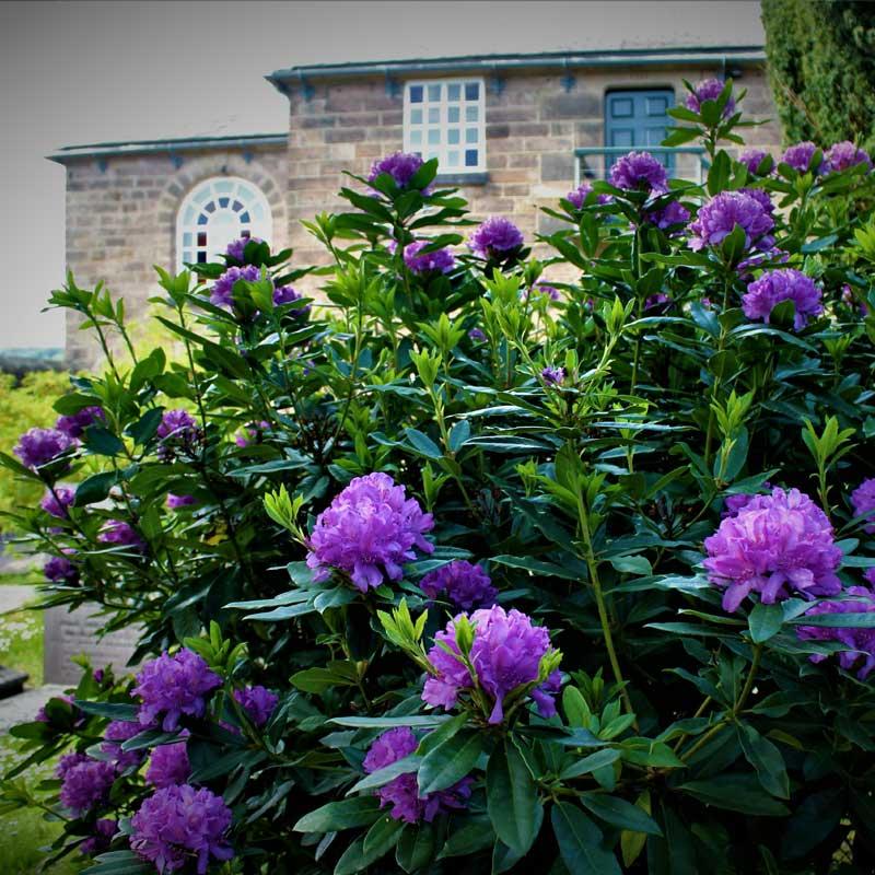 Find Large Cottages in Belper that Sleeps 8 or More