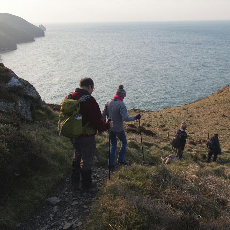 Find Large Cottages in Boscastle that Sleeps 8 or More
