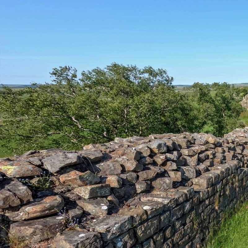 Find Large Cottages in Brampton that Sleeps 8 or More