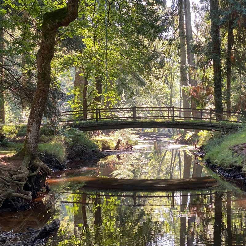 Find Large Cottages in Brockenhurst that Sleeps 8 or More