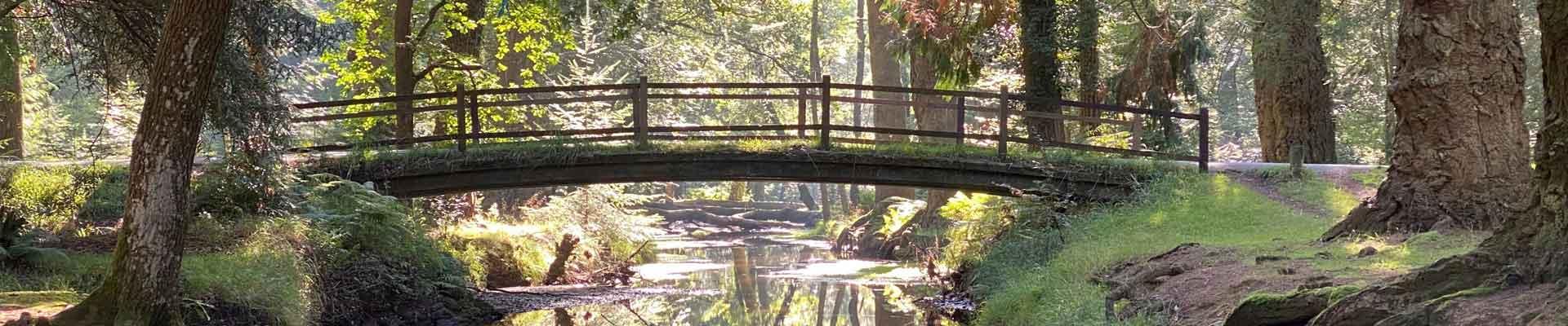 Large holiday cottages available in Brockenhurst, Hampshire suitable for families and group bookings who enjoy spending time in a quiet village that offers some lovely woodland walks