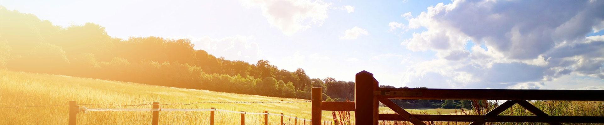 Large holiday cottages available in Buckinghamshire with spacious living accommodation which are suitable for families and group bookings