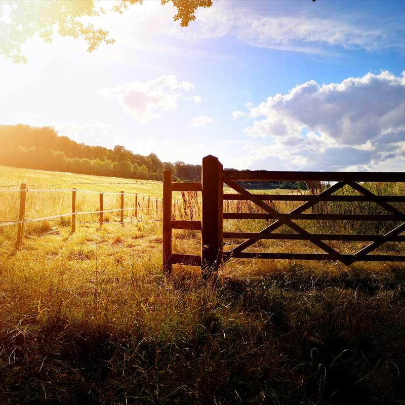 Find Large Cottages in Buckinghamshire that Sleeps 8 or More