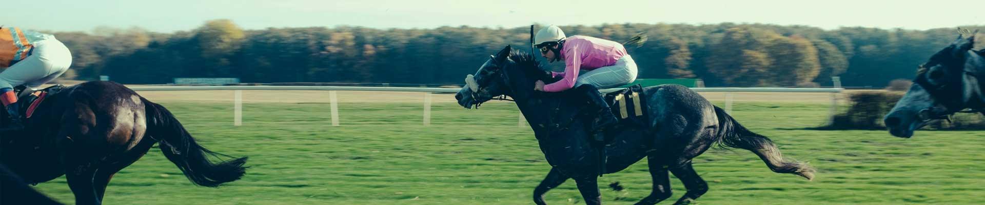 Large holiday cottages available in Cartmel close to beautiful lakes, beaches and is an ideal location for visiting the local racecourse