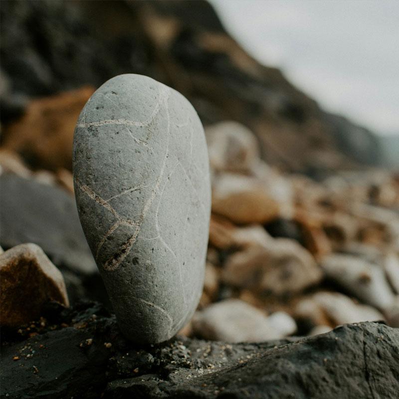 Find Large Cottages in Charmouth that Sleeps 8 or More