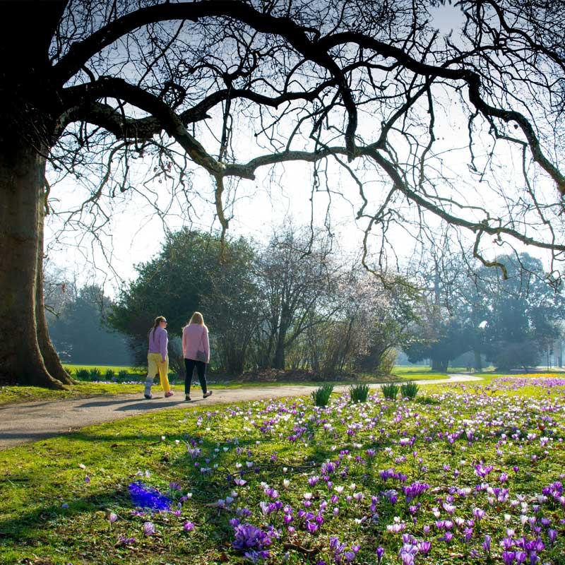 Find Large Cottages in Cheltenham that Sleeps 8 or More