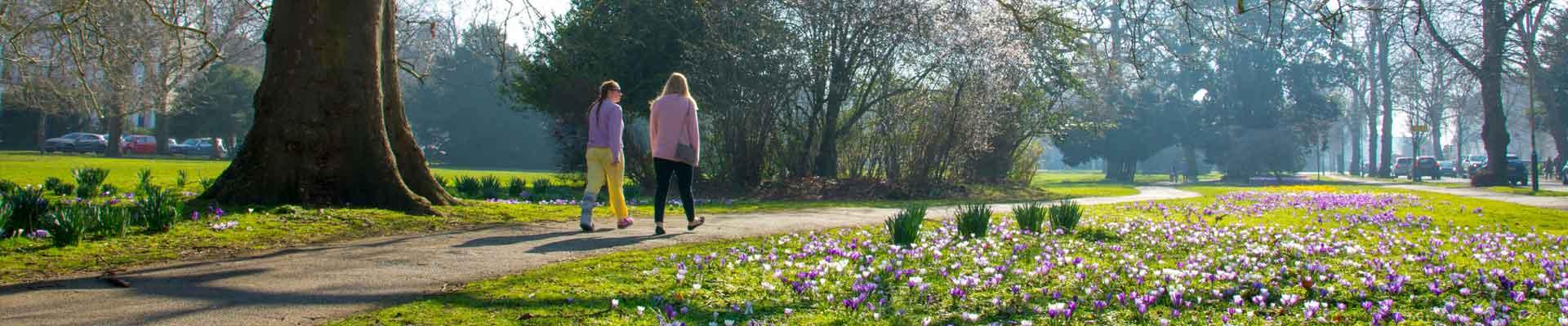 Large holiday cottages available in Cheltenham, Gloucestershire suitable for families and group bookings who enjoy local park walks