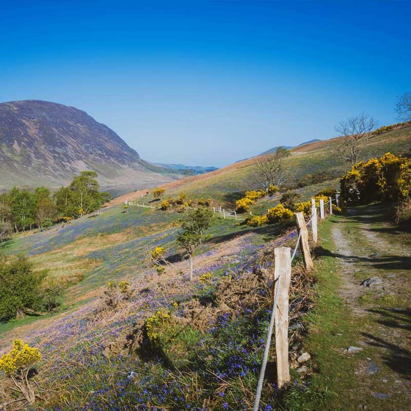 Find Large Cottages in Cockermouth that Sleeps 8 or More