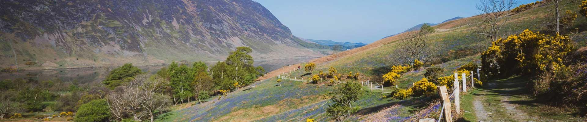 Large holiday cottages available in Cockermouth near to beautiful lakes and is an ideal location for woodland and riverside walks