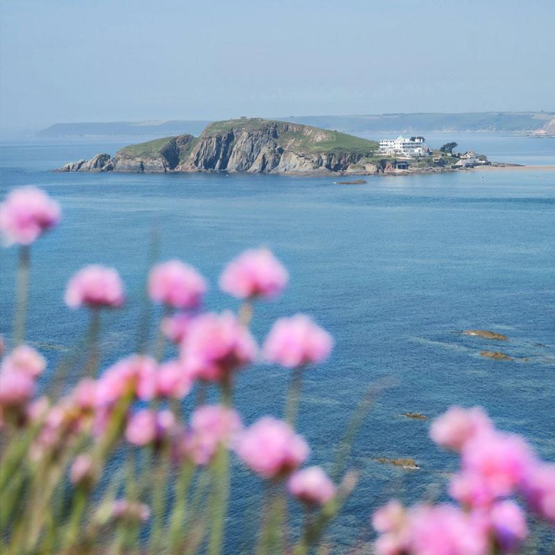 Find Large Cottages in Devon that Sleeps 8 or More