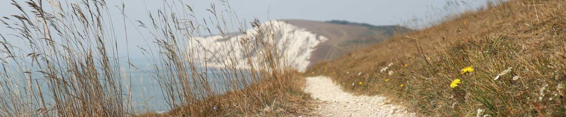 Large holiday cottages available in Freshwater on the Isle of Wight suitable for families and group bookings who enjoy coastal breaks and cliff top walks