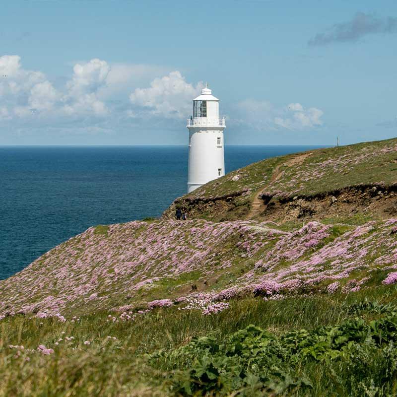 Find Large Cottages in Hartland that Sleeps 8 or More