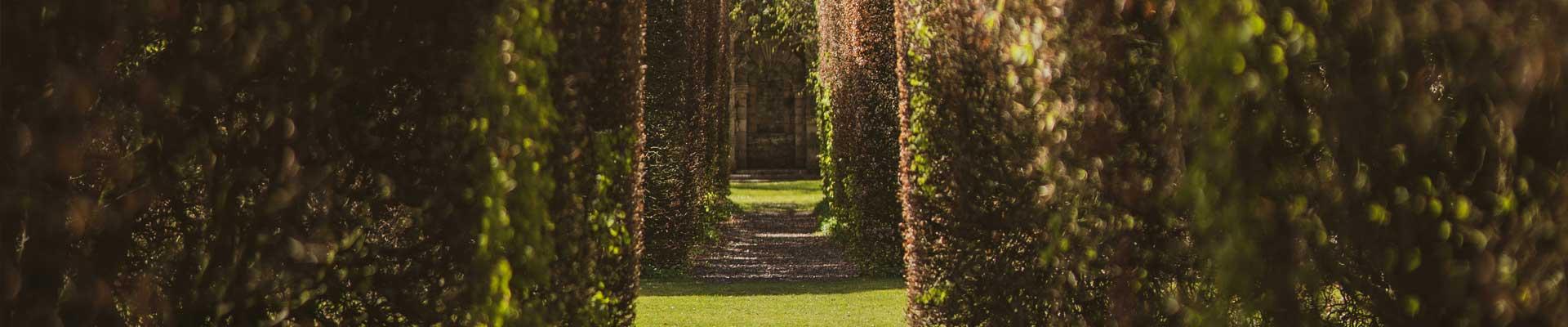 Large holiday cottages available near Levens, Cumbria close to beautiful gardens and suitable for families and group bookings who enjoy wildlife and riverside strolls