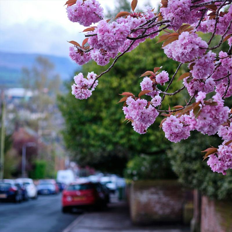 Find Large Cottages in Penrith that Sleeps 8 or More