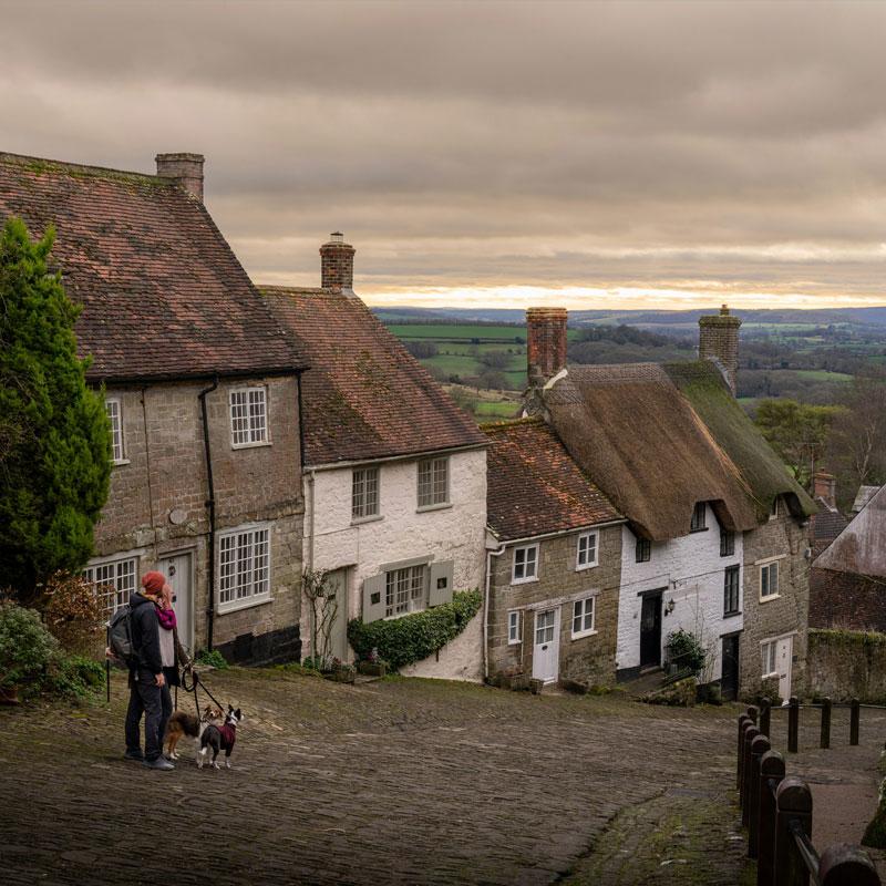 Find Large Cottages in Shaftesbury that Sleeps 8 or More