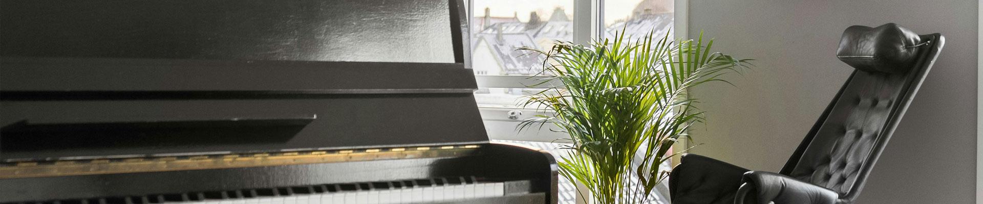 Large holiday cottages available in Stanhope, Durham suitable for families and group bookings who enjoy outdoor adventures before returning to spacious and relaxing living accomodation with musical facilities