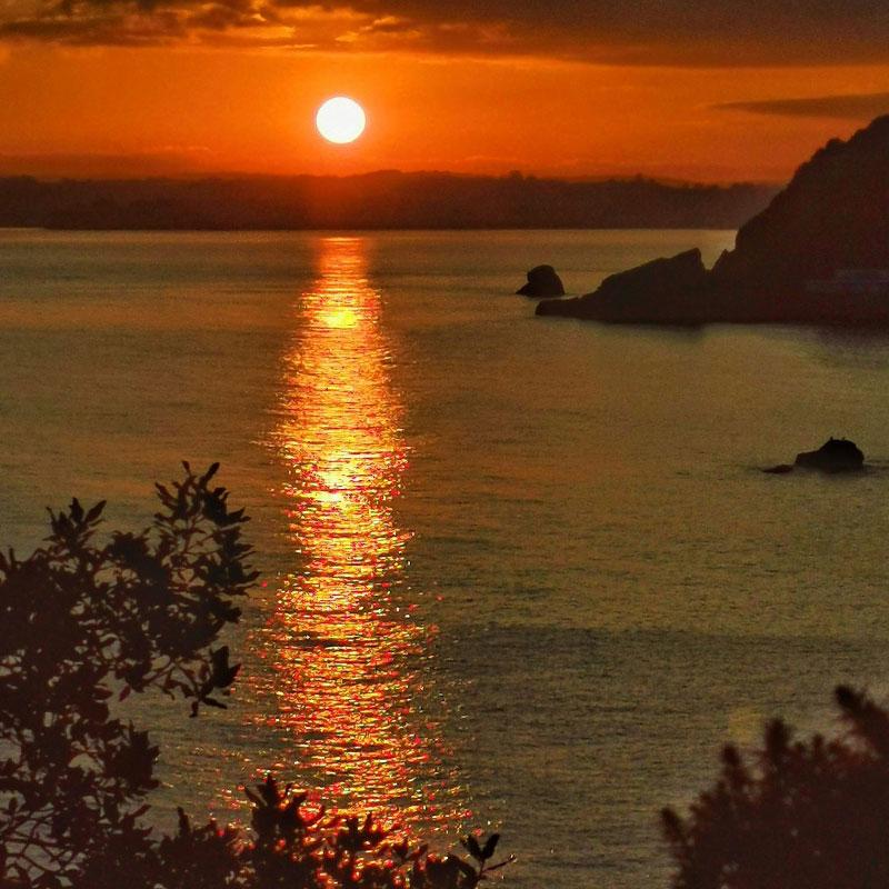 Find Large Cottages in Torquay that Sleeps 8 or More