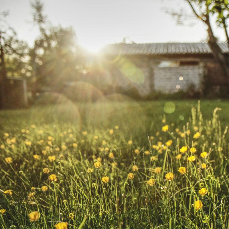 Find Large Cottages in Uplyme that Sleeps 8 or More