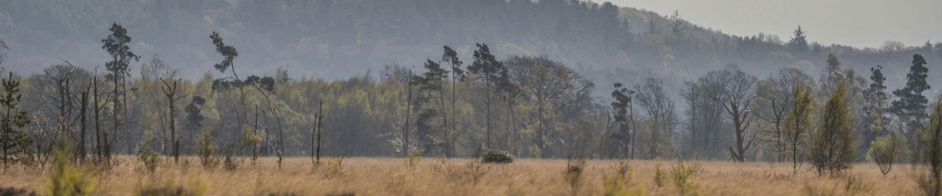 Large holiday cottages available near Witherslack in Cumbria, suitable for families and group bookings who enjoy visiting coastal walks and spending time surrounded by peaceful countryside and woodlands suitable for long walks with fantastic views