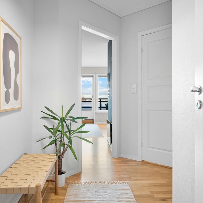 Find Large Cottages in Wool that Sleeps 8 or More