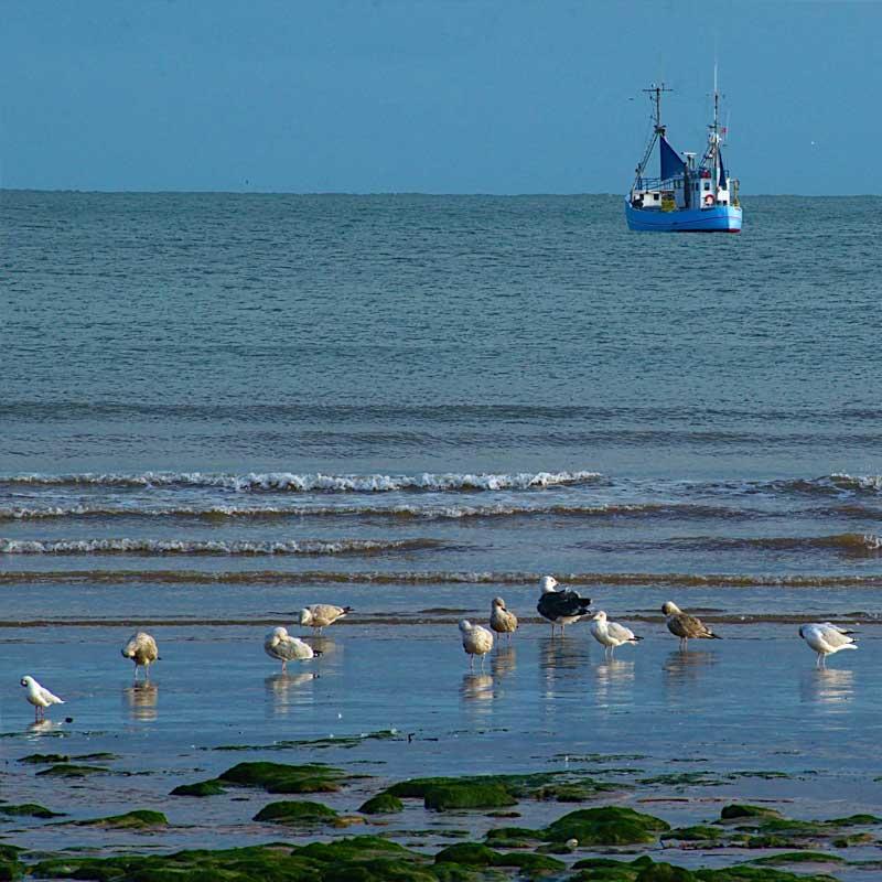 Find Large Cottages in Withernsea that Sleeps 8 or More