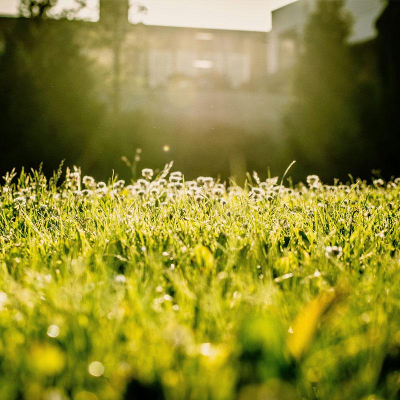 Find Large Cottages in Addingham that Sleeps 8 or More