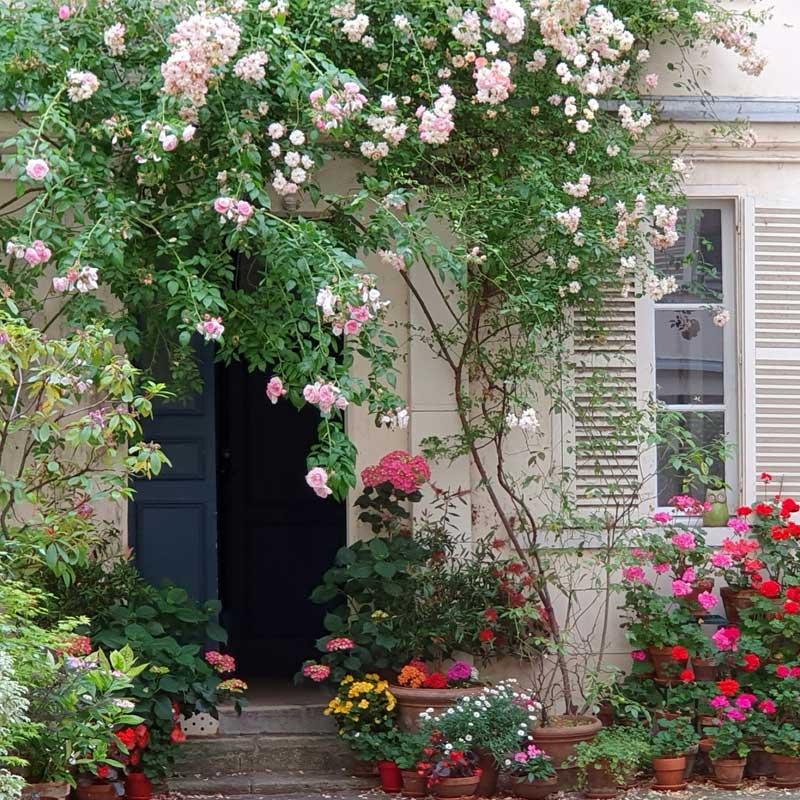 Find Large Cottages in Froghall that Sleeps 8 or More
