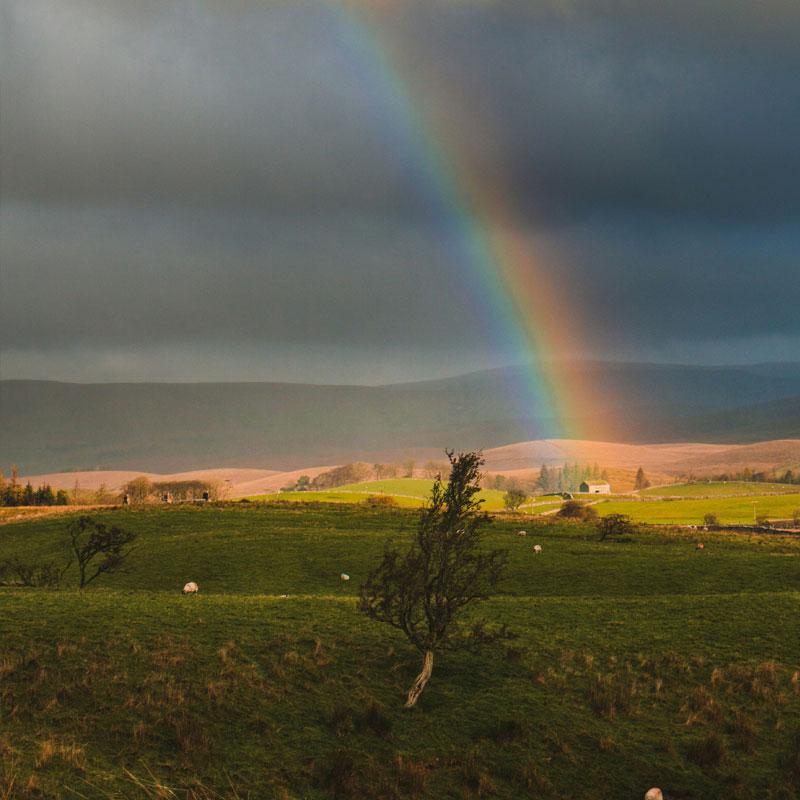 Find Large Cottages in Reeth that Sleeps 8 or More