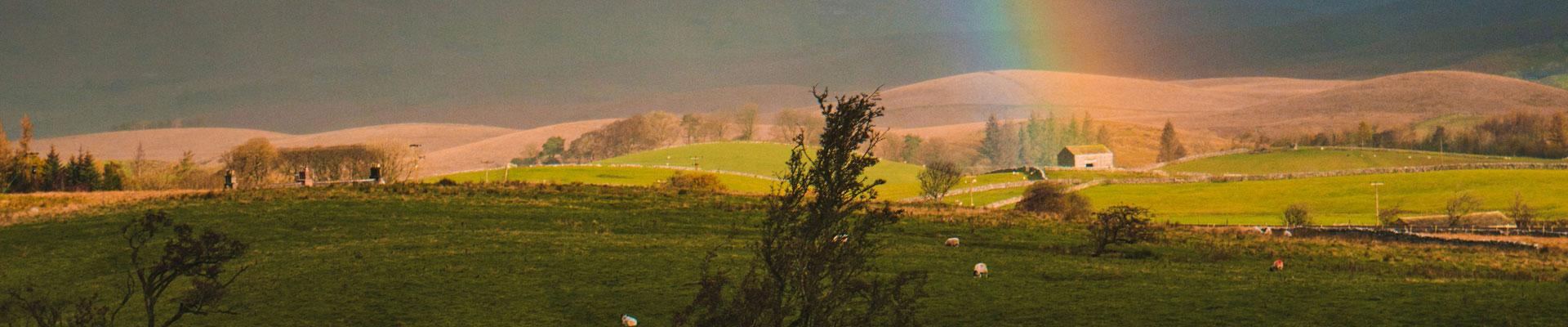 Large holiday cottages available in Reeth, North Yorkshire. A village that offers easy access to stunning hill walks in the Yorkshire Dales with great views whatever the weather