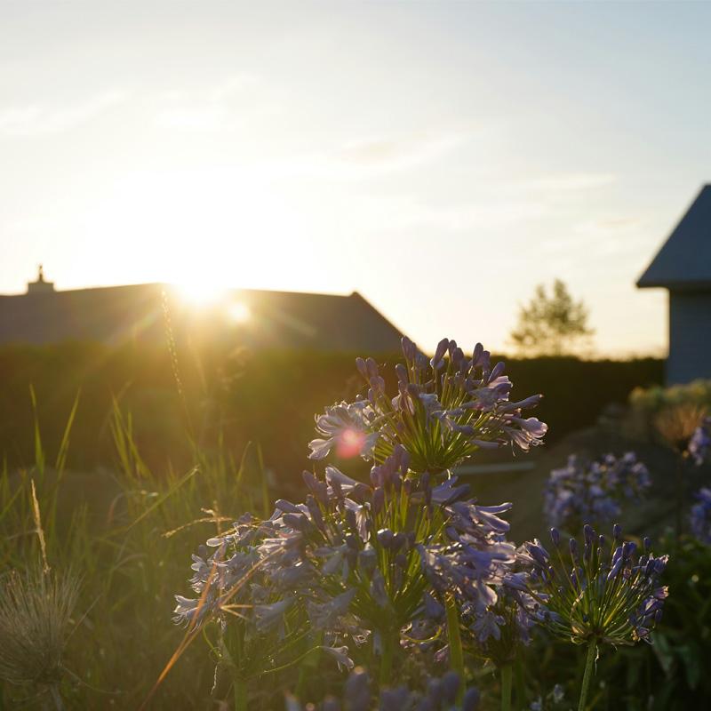Find Large Cottages in Stafford that Sleeps 8 or More