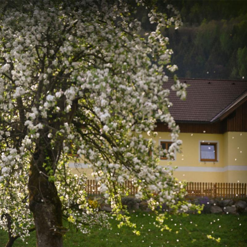 Find Large Cottages in Wombourne that Sleeps 8 or More