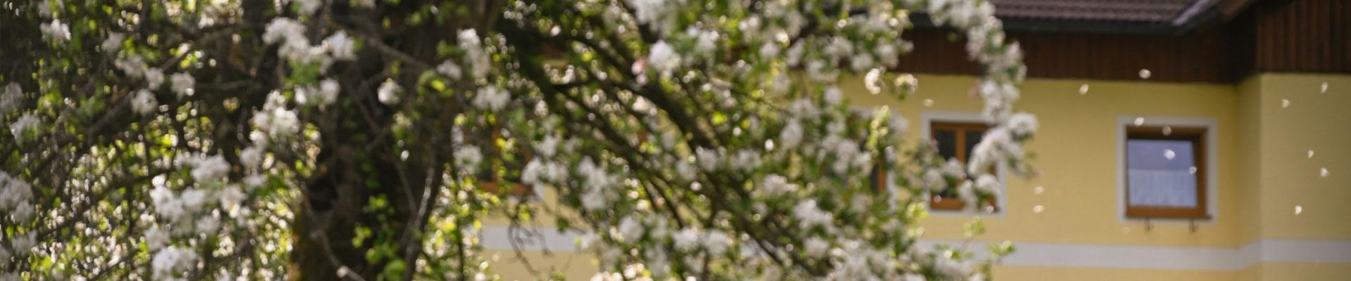 Large holiday cottages with beautiful gardens available in Wombourne, South Staffordshire which has accomodation with beautiful gardens