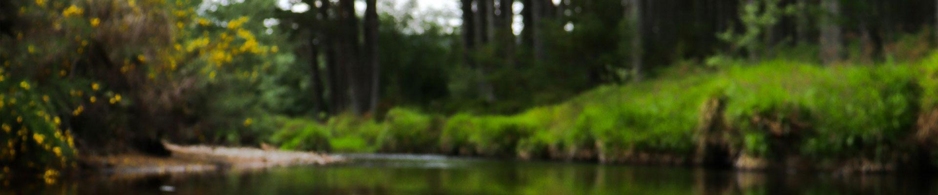 Discover large holiday cottages available in Grantown On Spey perfect for those who love the great outdoors, exploring pine forests and riverside walks