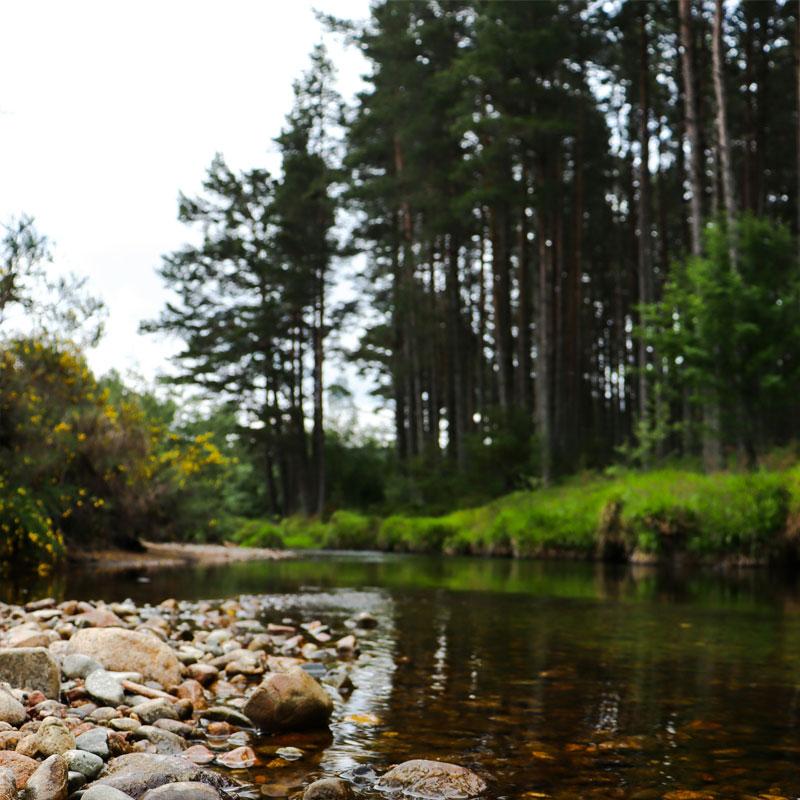 Find Large Cottages in Grantown On Spey that Sleeps 8 or More