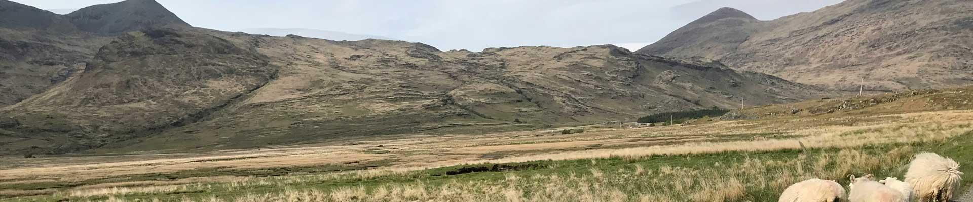 Large holiday cottages available on the Isle of Mull, which offers wide open spaces to explore including dramatic countryside and island views