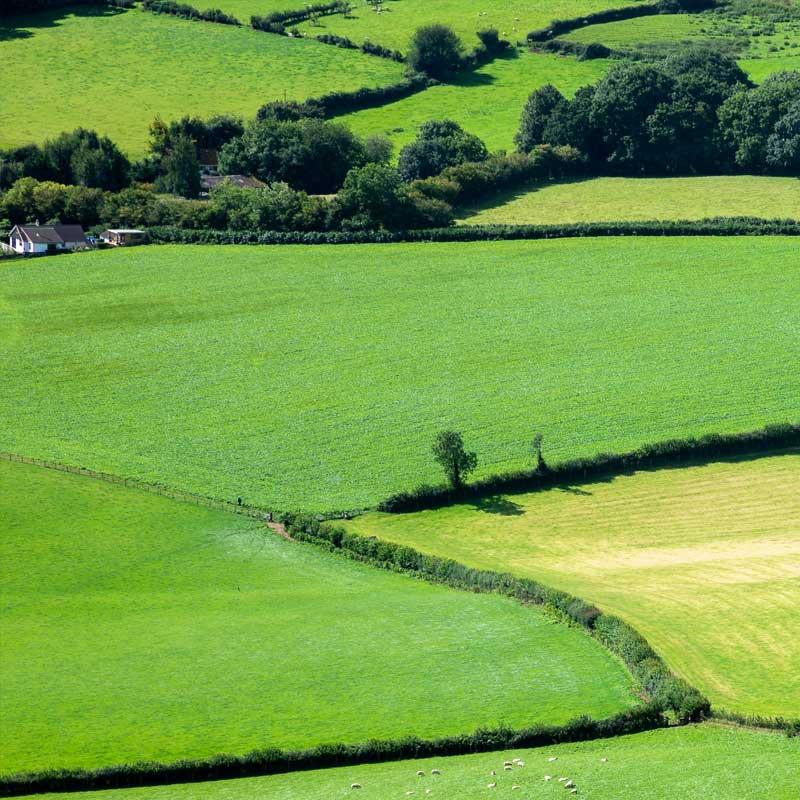 Find Large Cottages in Monmouthshire that Sleeps 8 or More