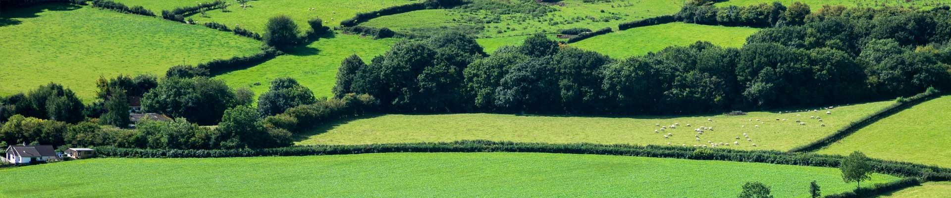 Discover large holiday cottages available in Monmouthshire known for it's rolling green hills