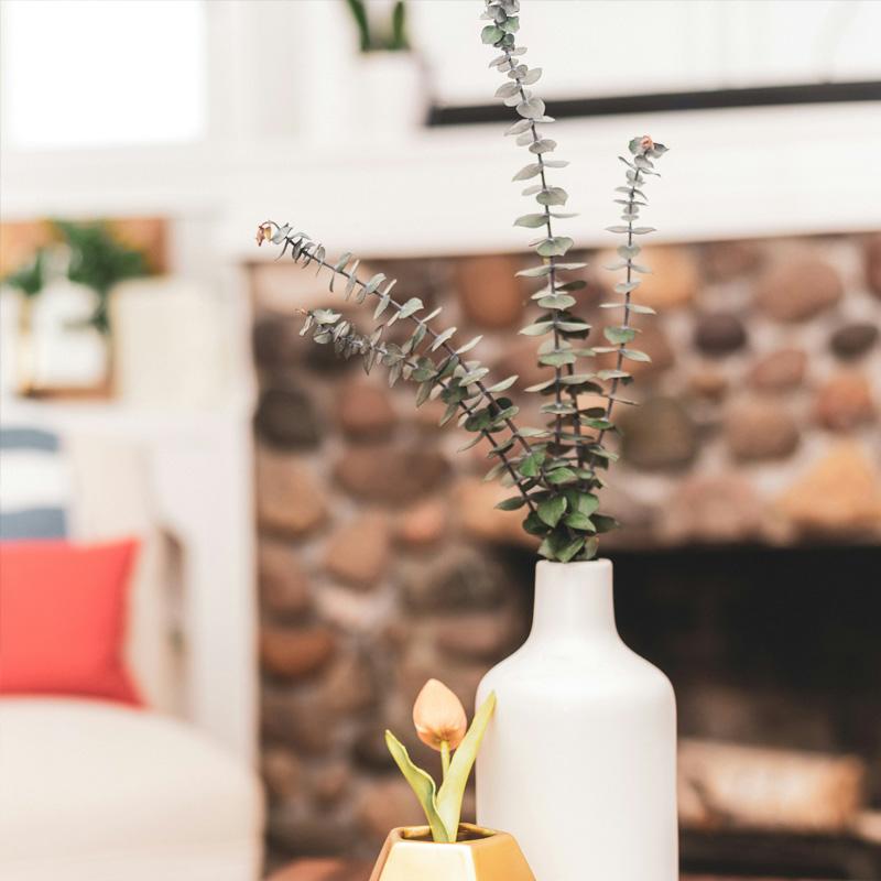 Find Large Cottages in Newtown that Sleeps 8 or More