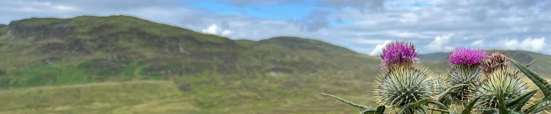 Large holiday cottages available in Perth and Kinross the gateway to the Highlands