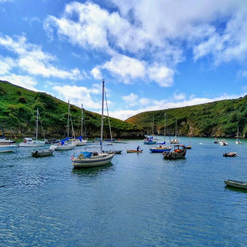 Find Large Cottages in Solva that Sleeps 8 or More
