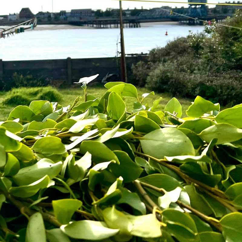 Find Large Cottages in Poulton Le Fylde that Sleeps 8 or More