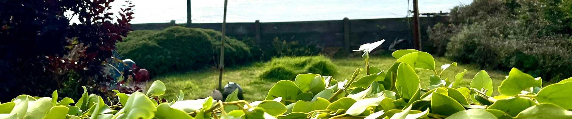 Large holiday cottages available in Poulton Le Fylde, with fantastic riverside views
