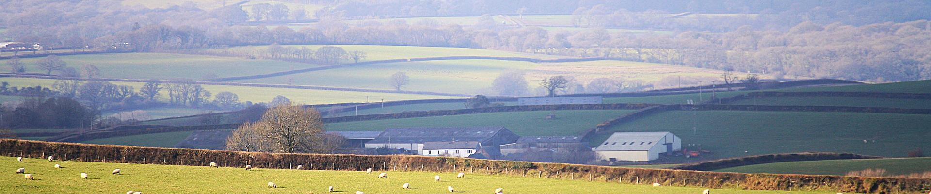 discover large holiday homes in Chulmleigh in Devon