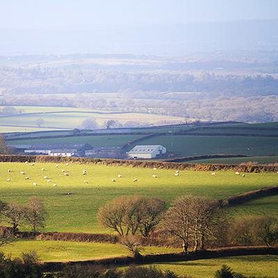 Large Holiday Cottages in Chulmleigh